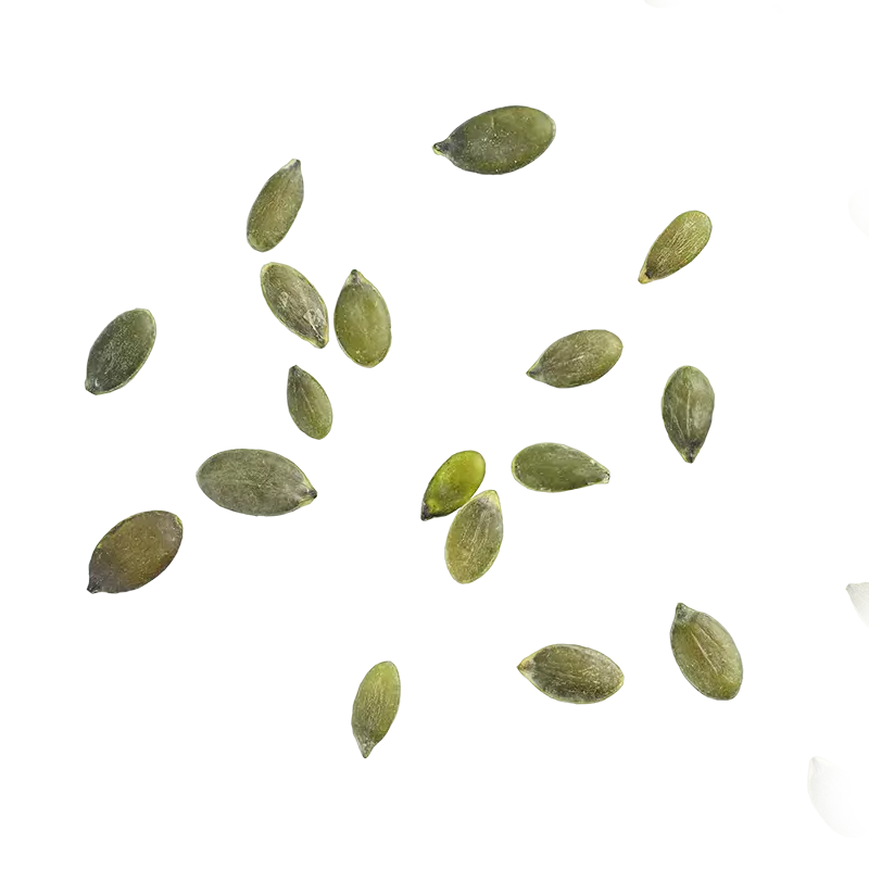 Pumkin Seeds