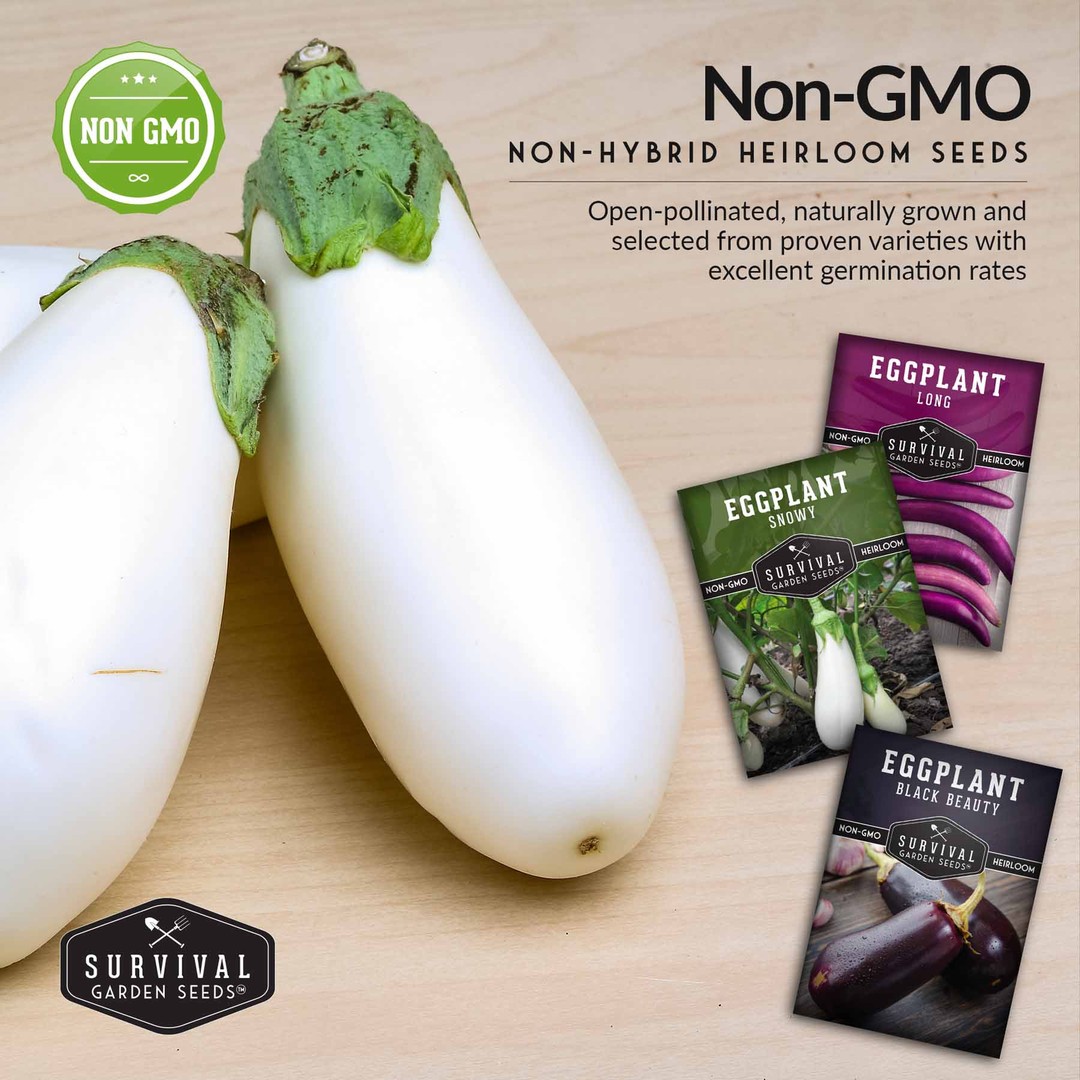 Non-GMO, non-hybrid heirloom eggplant seed packets for your vegetable garden