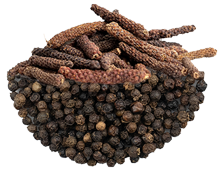 Two Types of Pepper: black pepper and long pepper