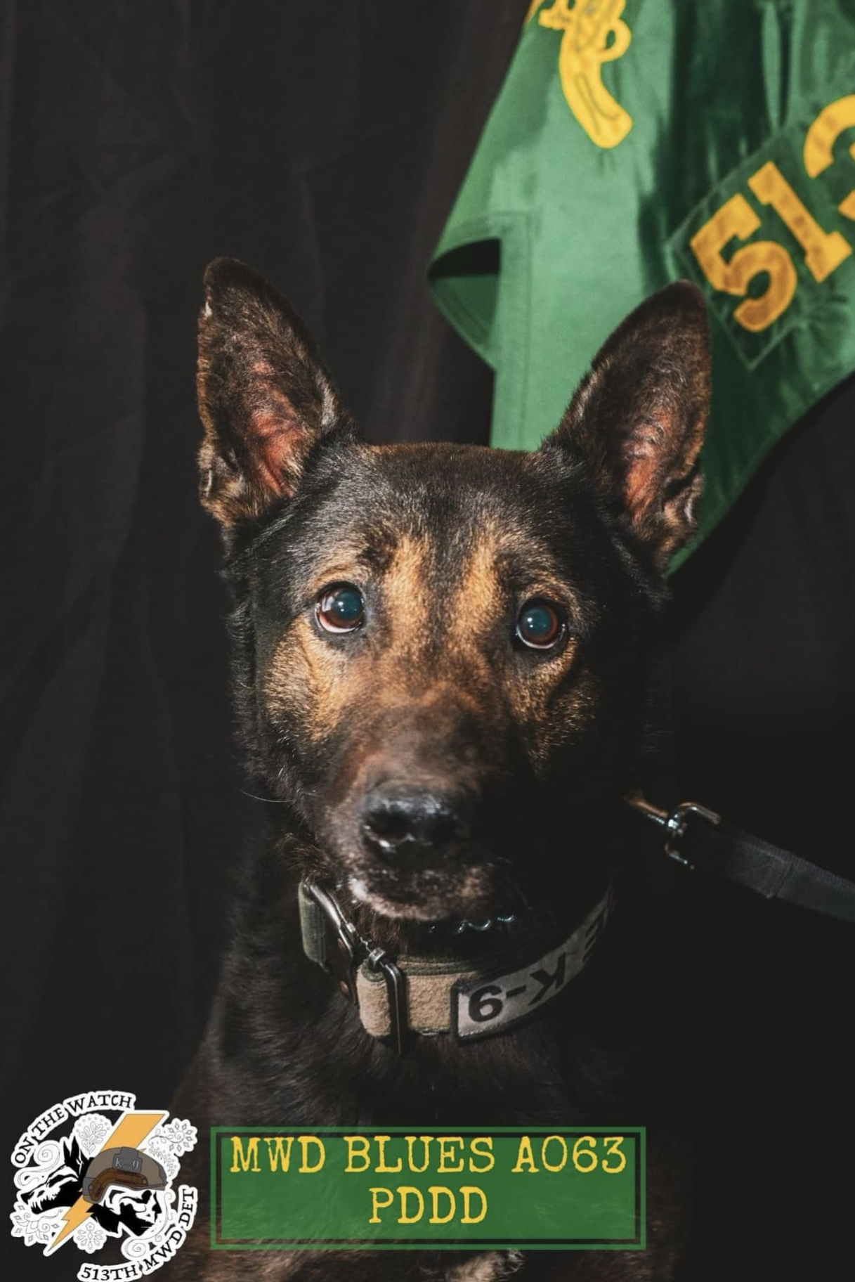 MWD Blues