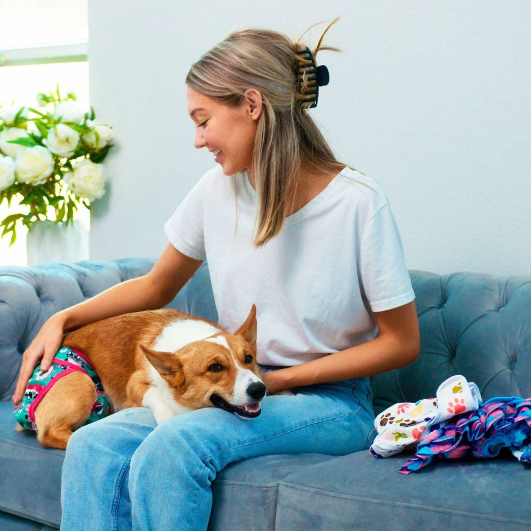 How Long Can a Dog Wear a Diaper? Potty Buddy Potty Buddy™