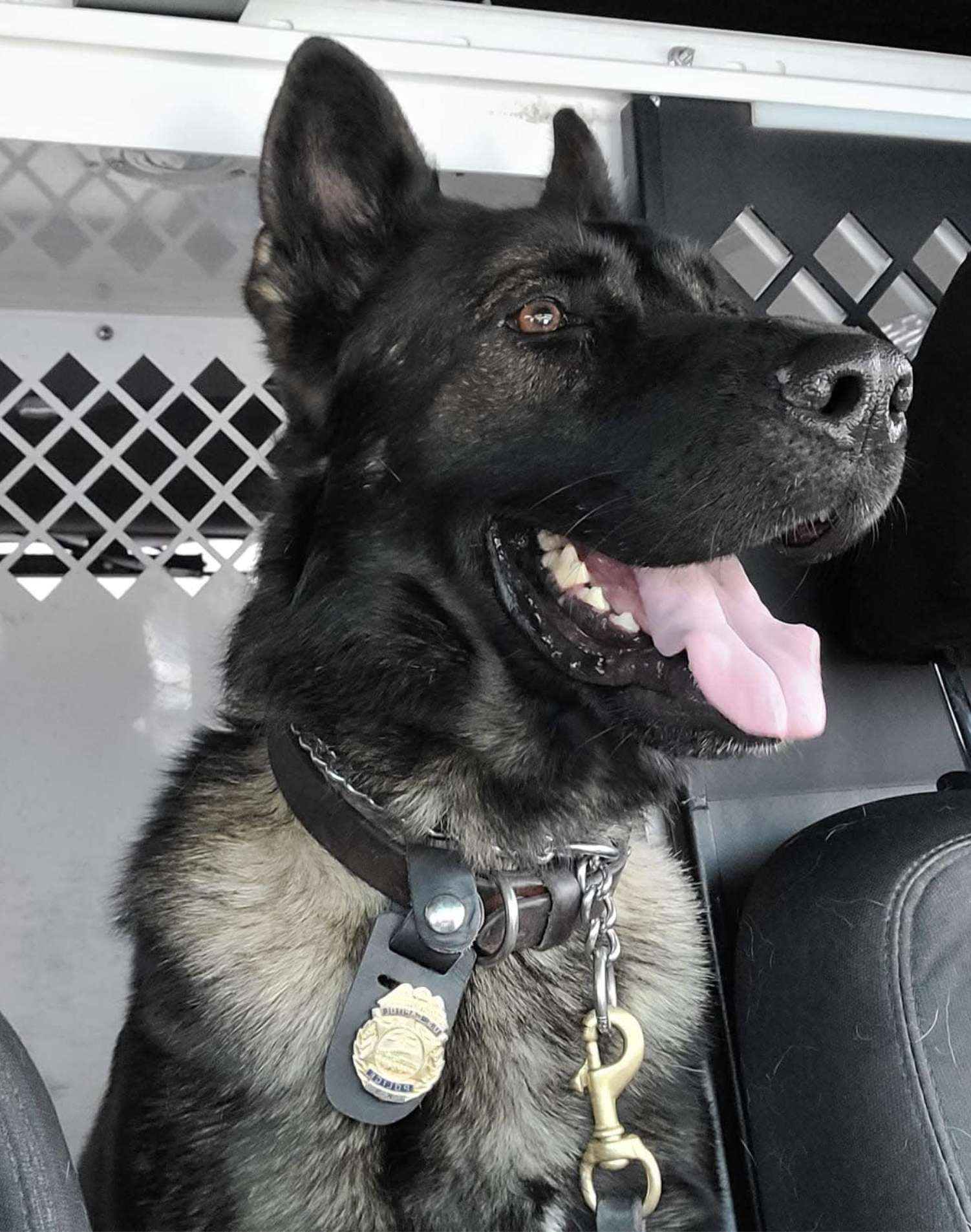 k9 piton 315