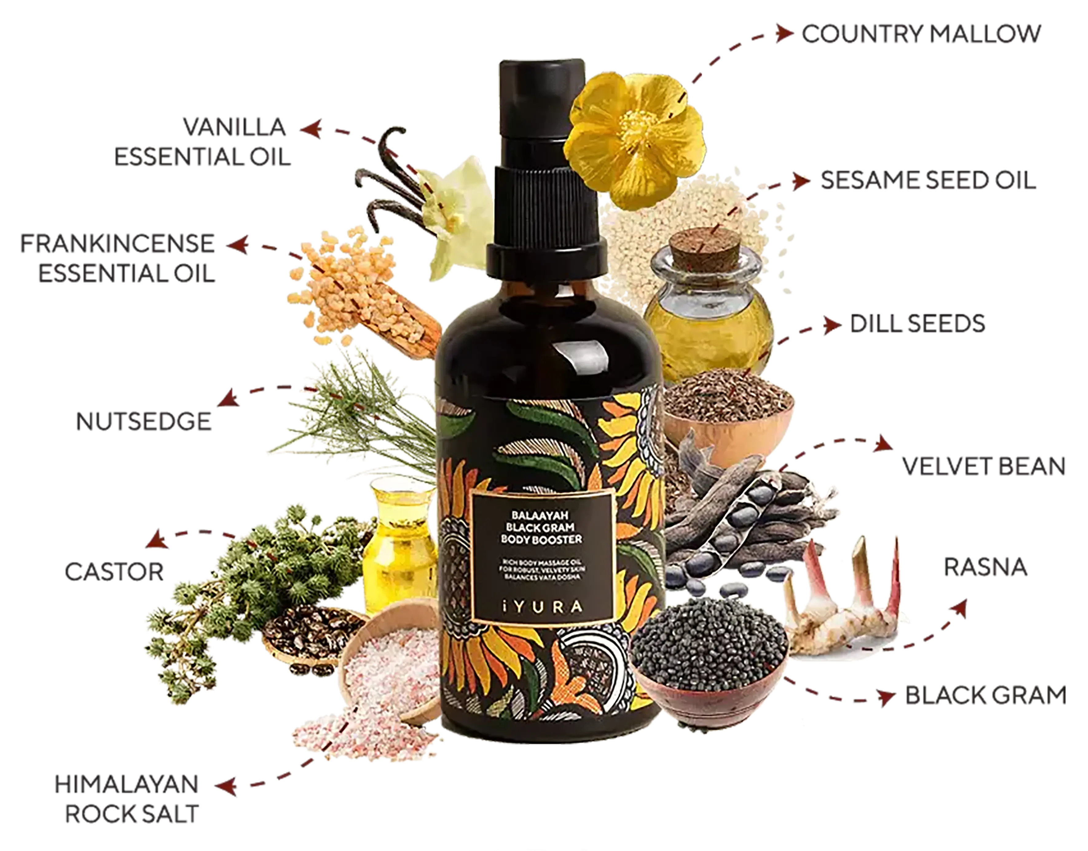 A composition of a bottle of balaayah and it's ingredients with their names