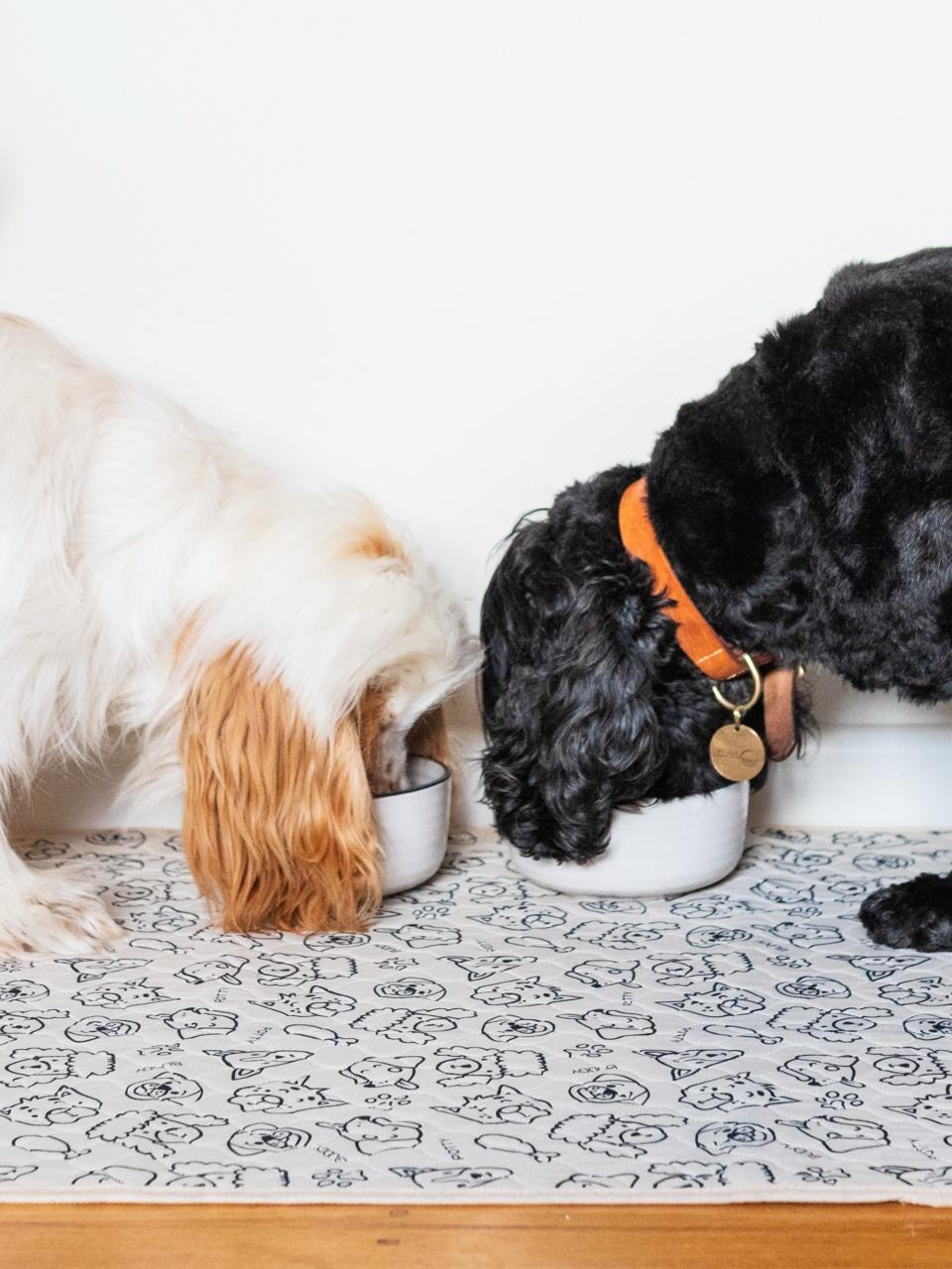 Two dogs eating on their bowls with Potty Buddy pads as floor lining