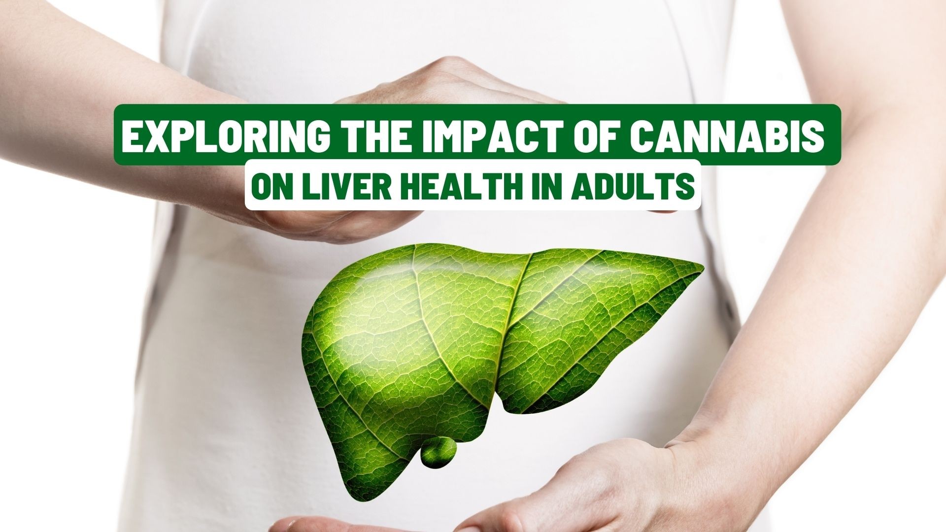 Exploring the Impact of Cannabis on Liver Health in Adults