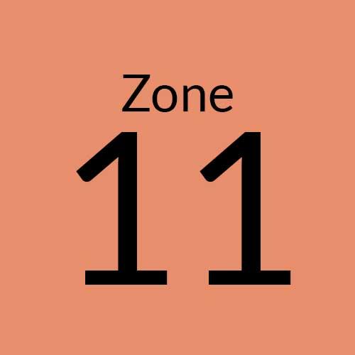 Zone 11