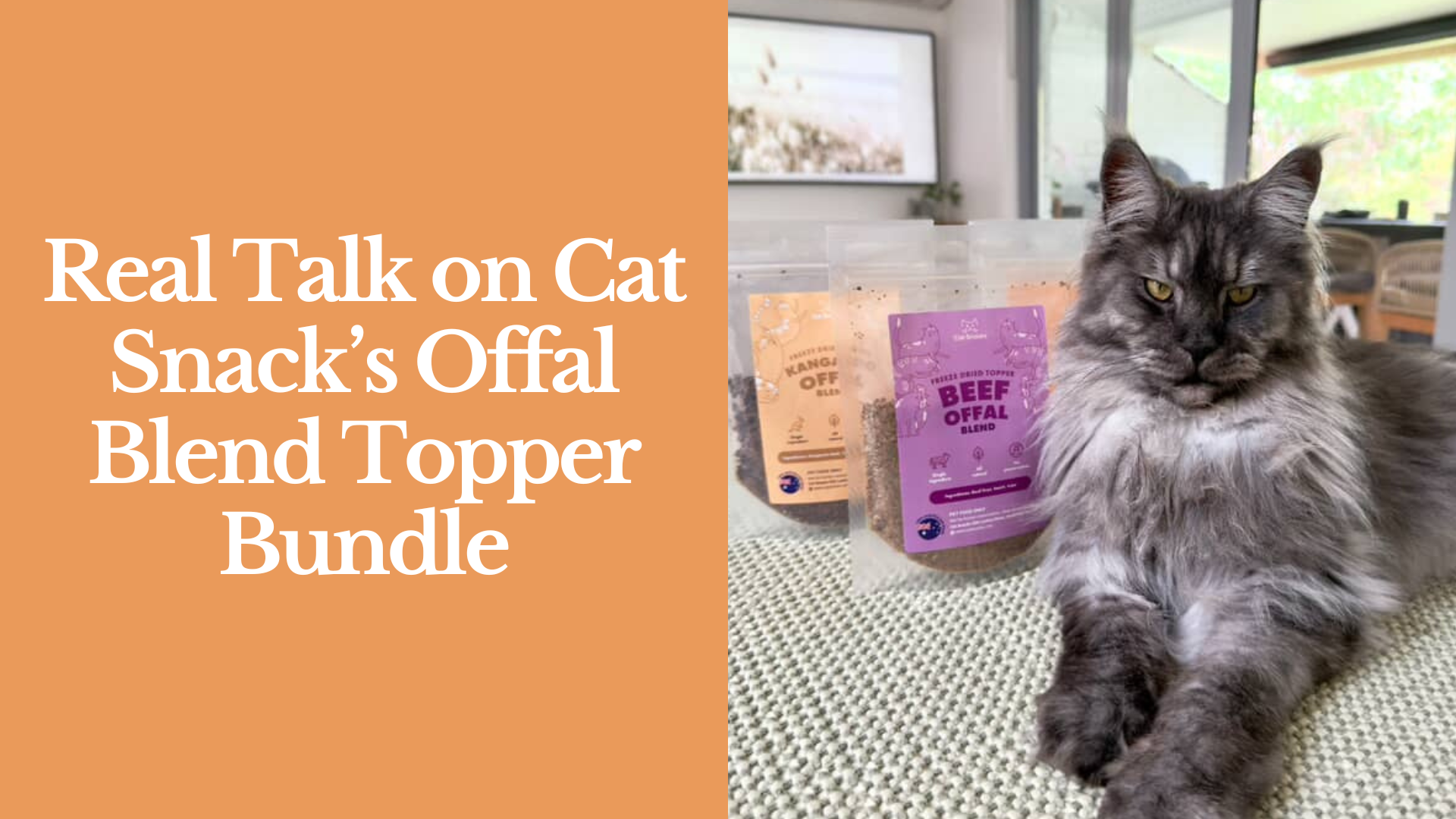 Real Talk on Cat Snack’s Offal Blend Topper Bundle