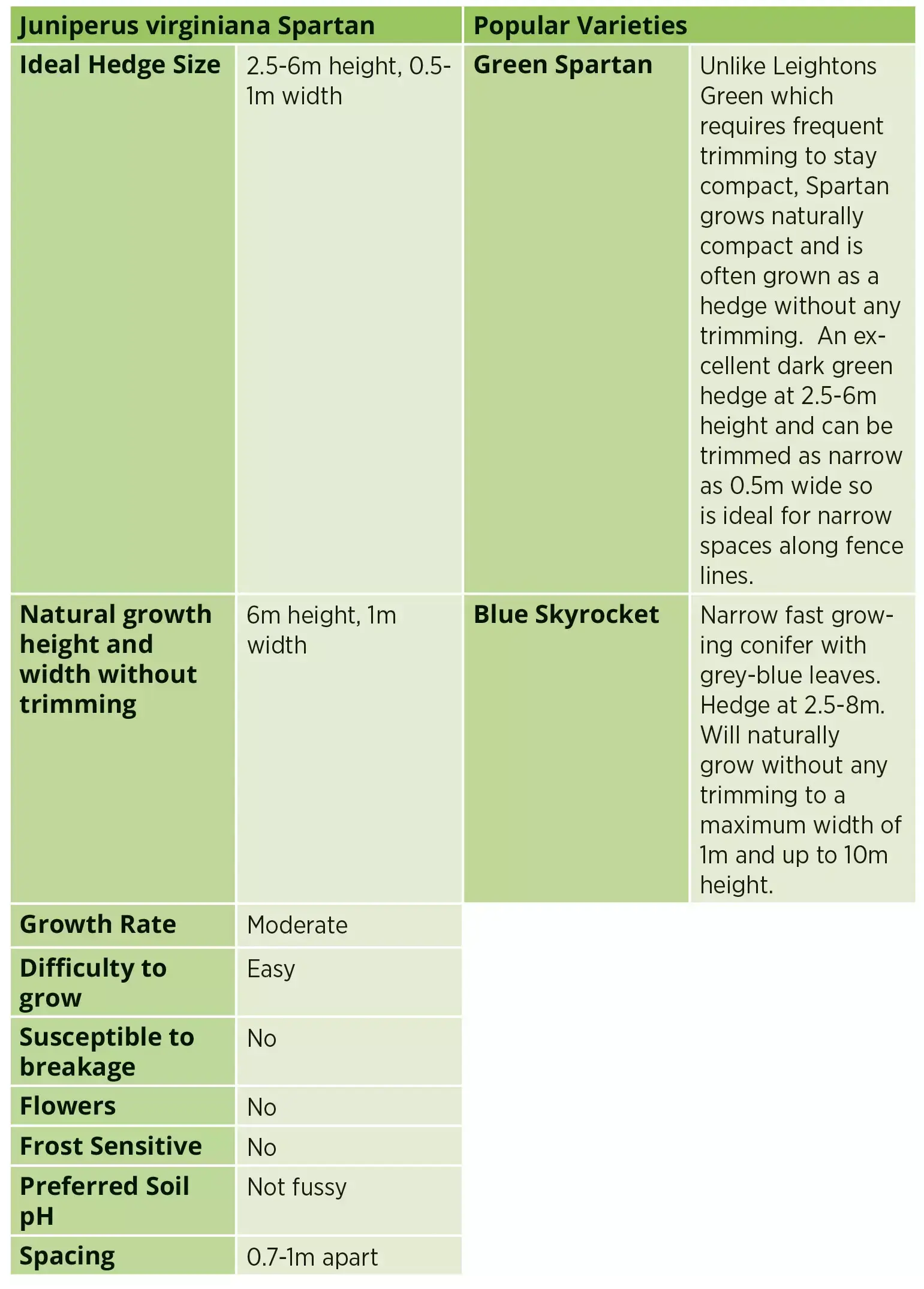 Comparison table for Juniperus virginiana ‘Spartan’ hedge. Lists ideal hedge size (2.5–6 m high, 0.5–1 m wide), natural growth size (up to 6 m high, 1 m wide), moderate growth rate, easy care, non-flowering, frost tolerant, and adaptable soil. Popular varieties include Green Spartan (naturally compact, narrow dark green hedge for tight spaces) and Blue Skyrocket (fast-growing, narrow conifer with grey-blue foliage, reaching up to 10 m high). Recommended spacing is 0.7–1 m apart.