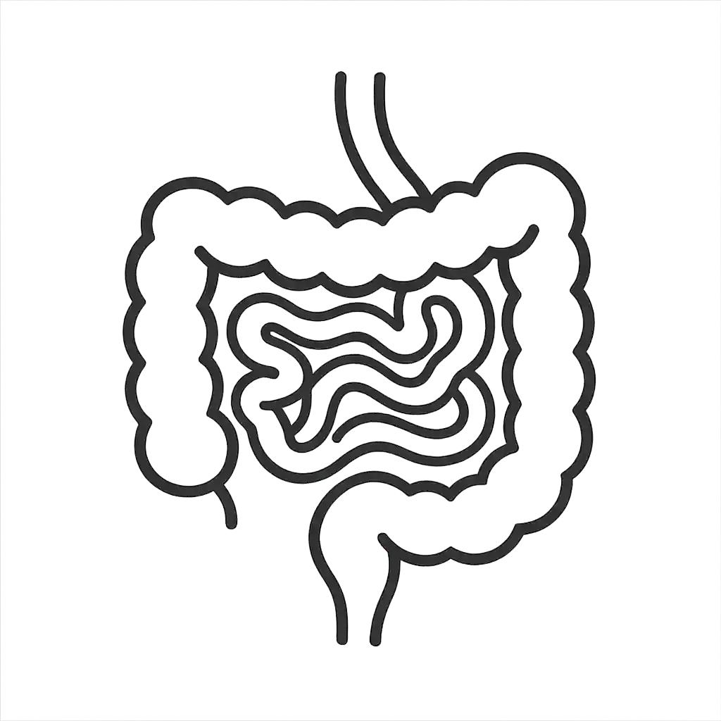 illustration of Guts
