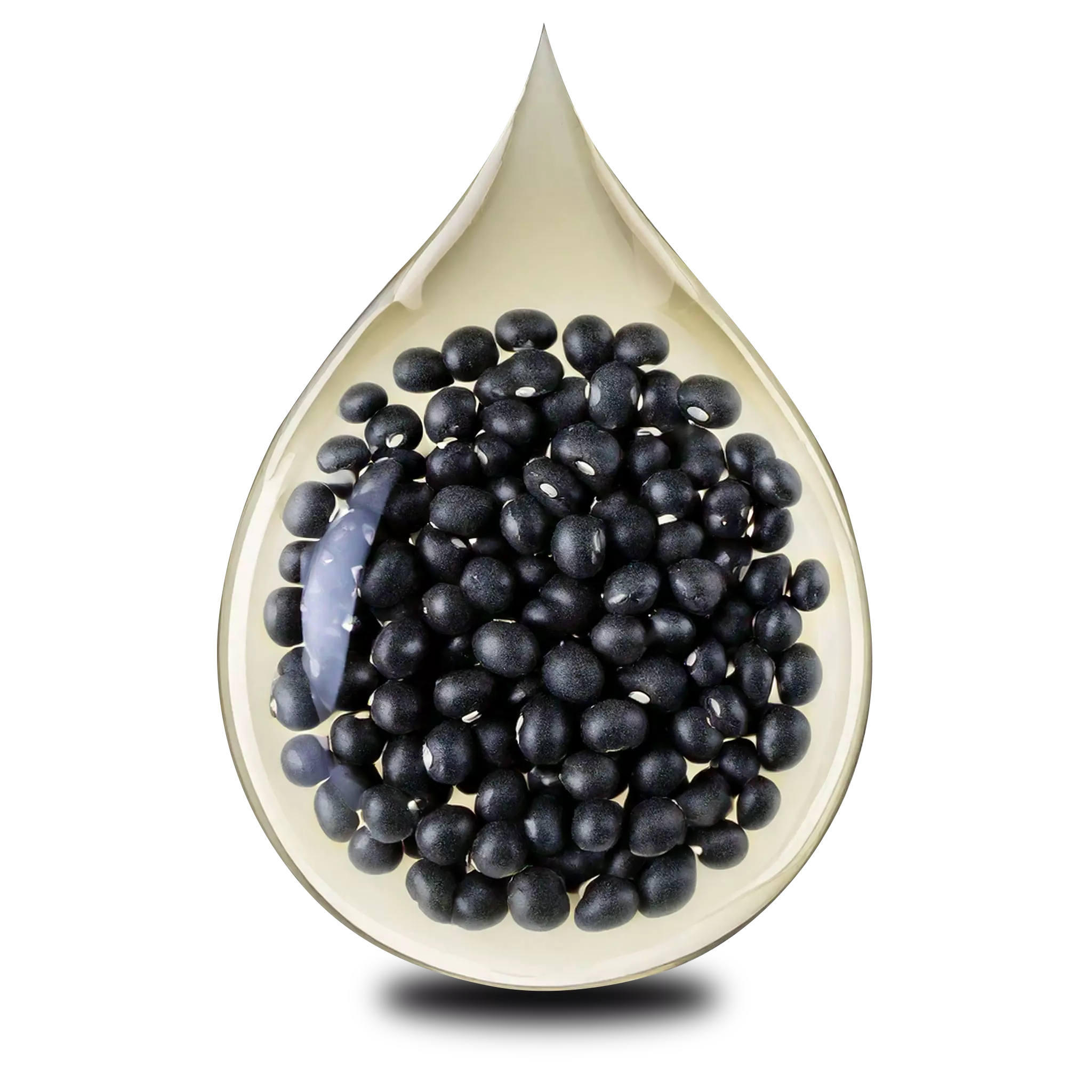 Black Gram in Blavana Ultra Light face oil