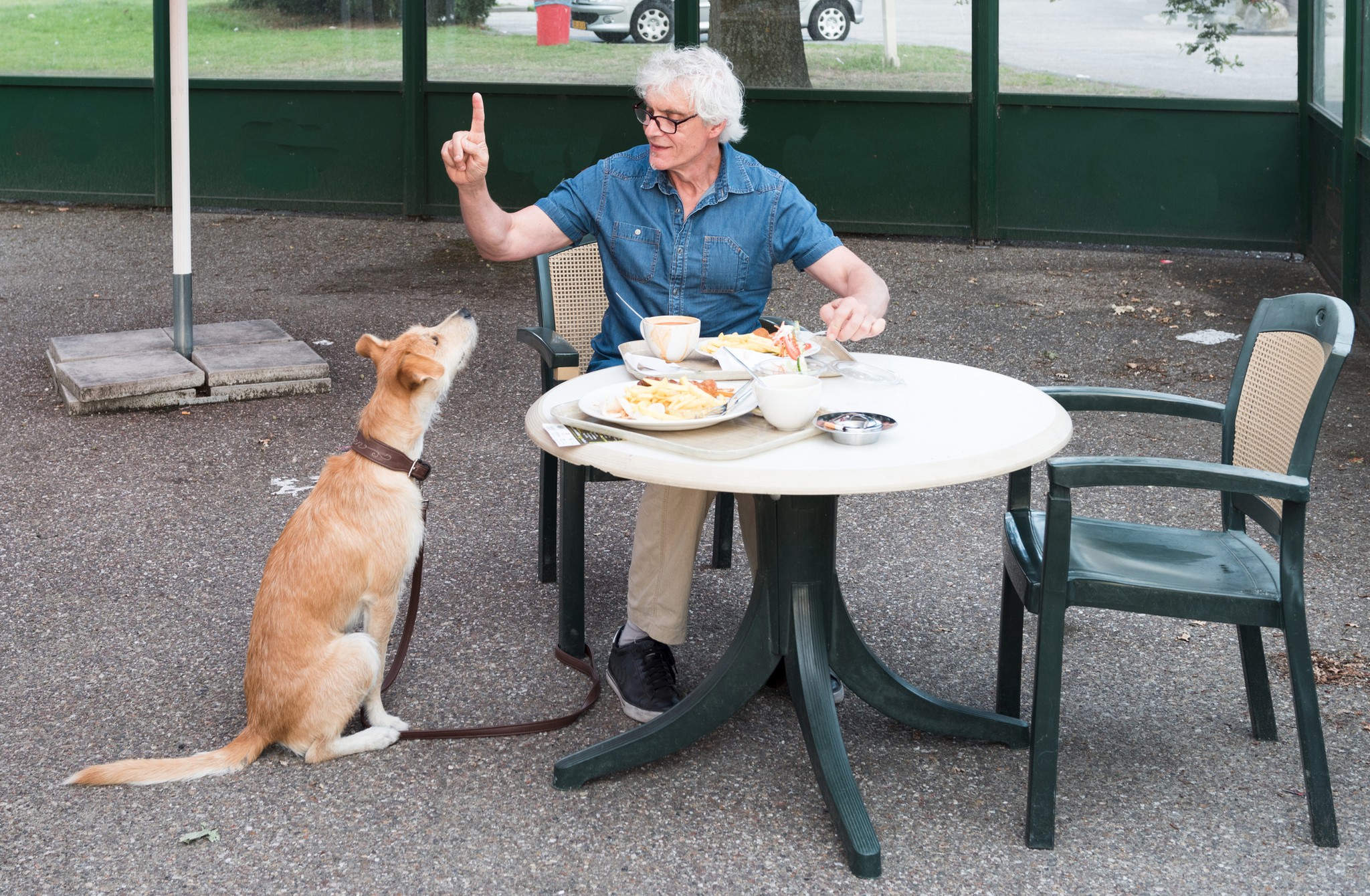 How to Find Dog-Friendly Restaurants Near You - 4Knines®