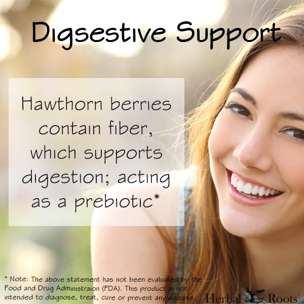 Close up of a smiling woman. The text on the image says Digestive Support. Hawthorn berries contain fiber, which supports digestion; acting as a prebiotic