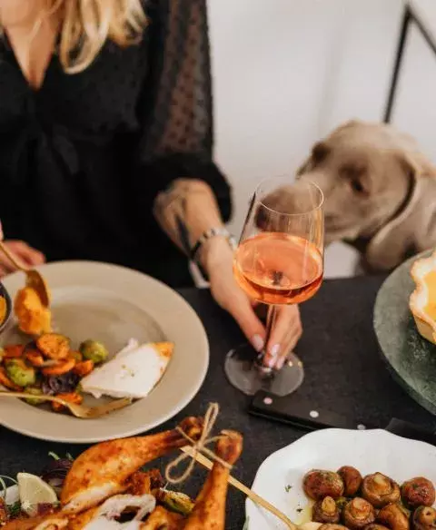 dog paw print in fram