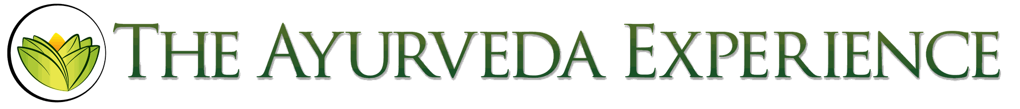 The Ayurveda Experience