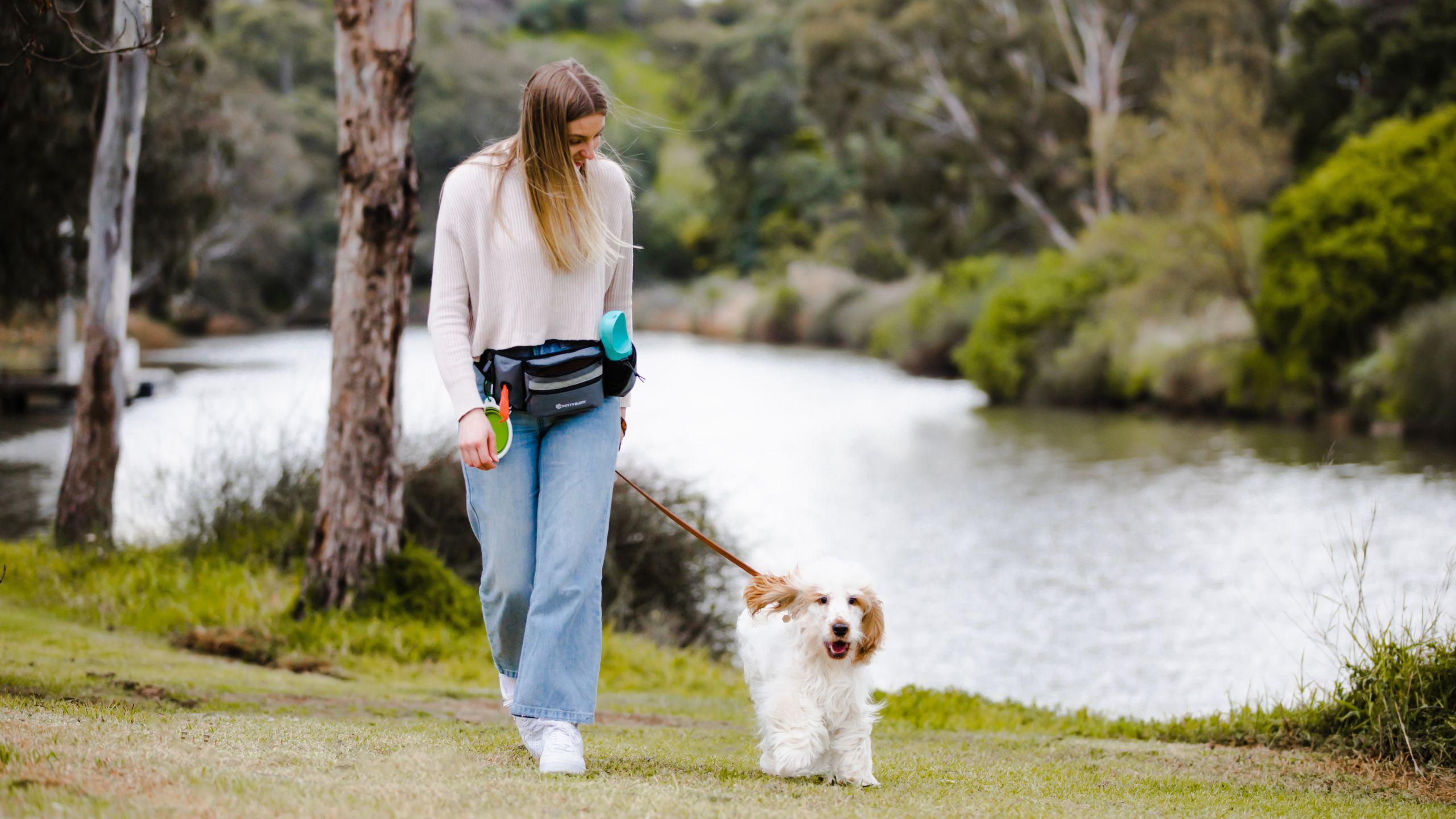 Dog walking