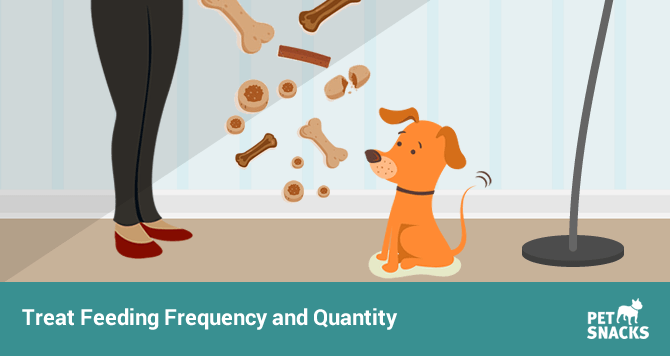 Treat Feeding Frequency and Quantity Pet Snacks