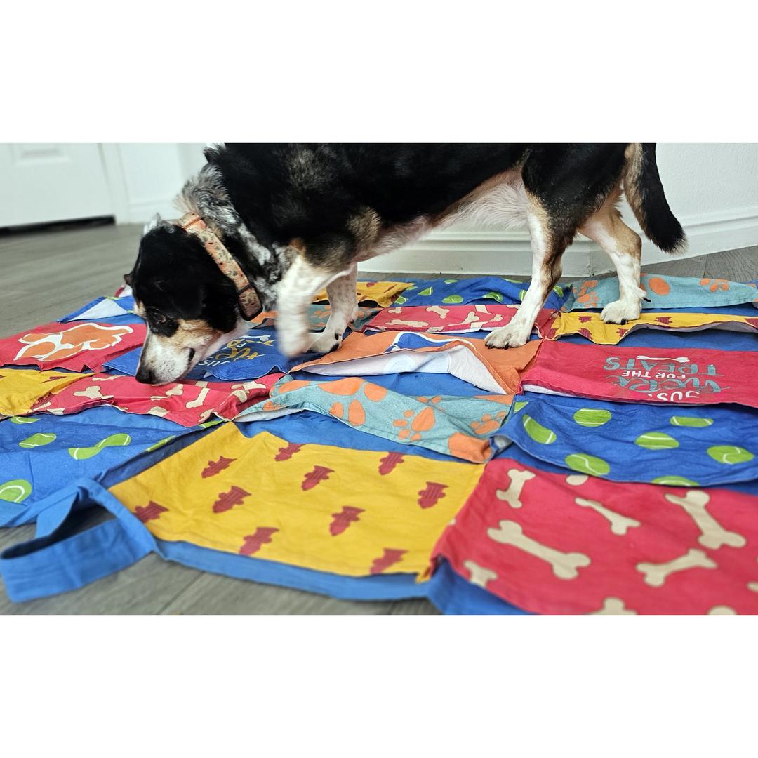 Dog activity blanket sale