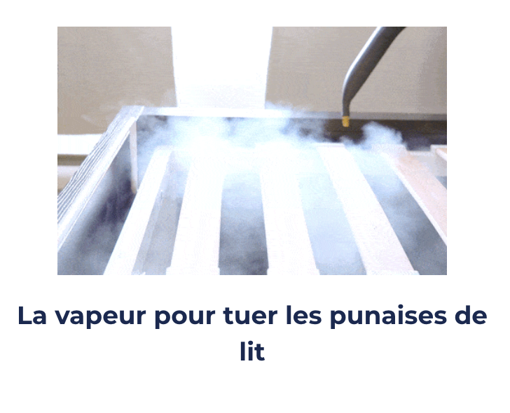 La vapeur pour tuer les punaises de lit