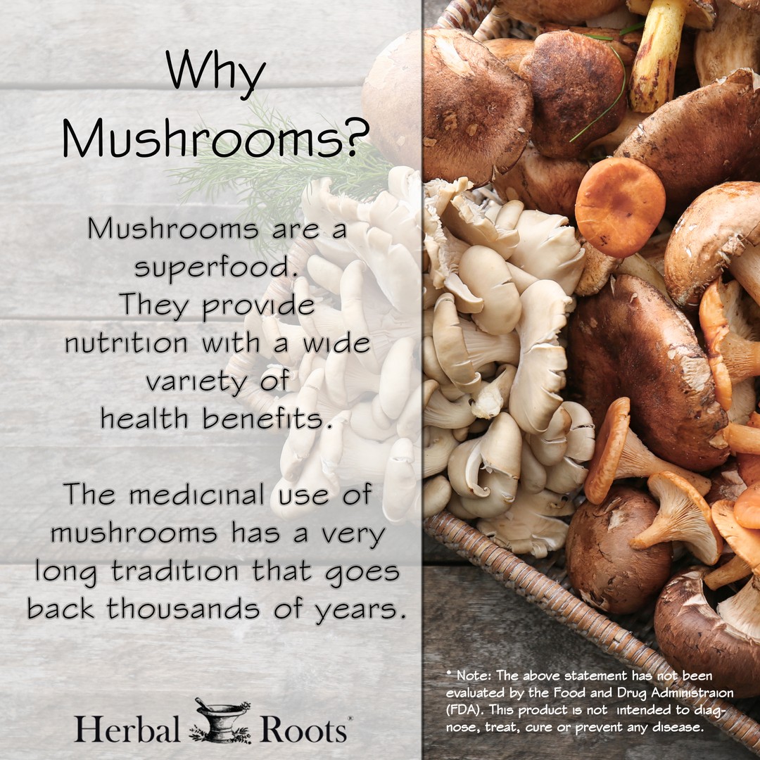 various species of mushrooms in a basket. Text on image says Why mushrooms? Mushrooms are a superfood. they provide nutrition with a wide variety of health benefits. The medicinal use of mushrooms has a very long tradition that goes back thousands of years.