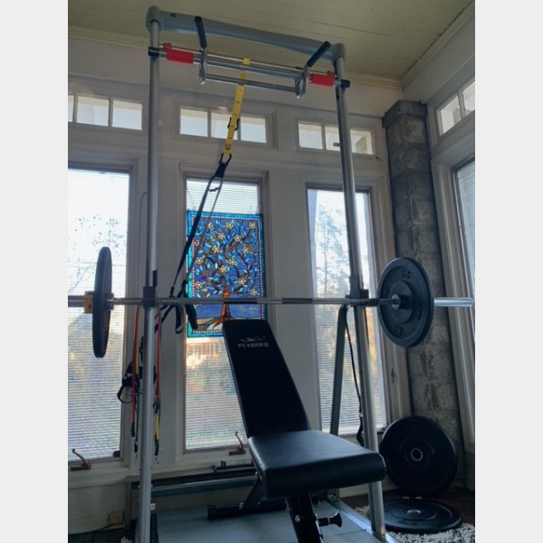 home gym review free standing training station and rack with adjustable exercise bar and dip station home exercise equipment by solostrength