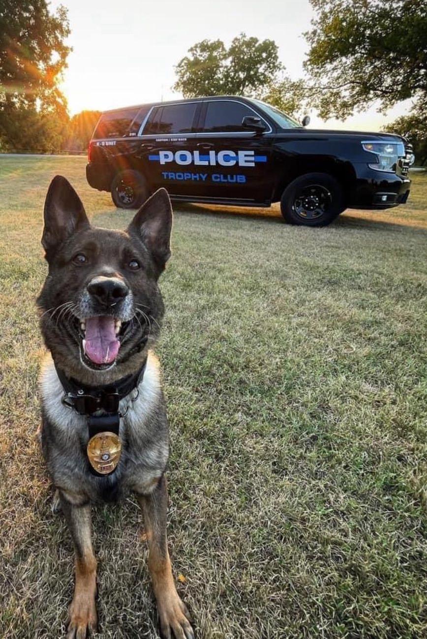 k9 indy with police car