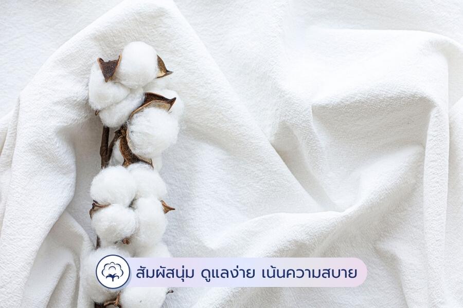 ผ้าฝ้าย (Cotton)