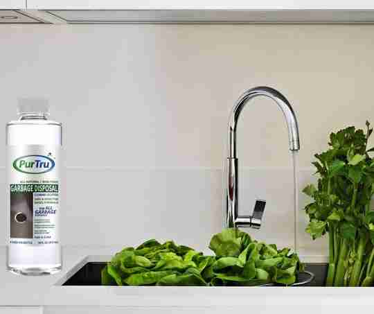 Garbage Disposal Deodorizer and Cleaner