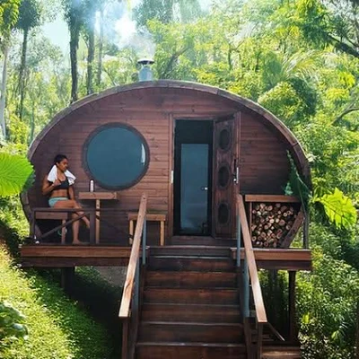 Outdoor cabin sauna surrounded by trees in a backyard wellness setting