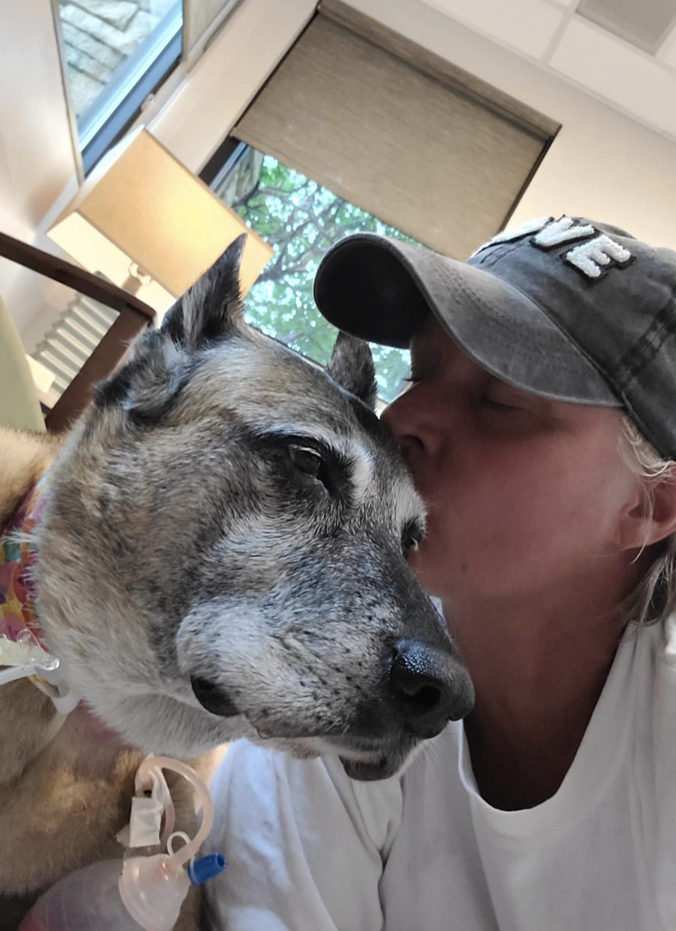 k9 tika