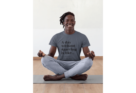 sparring t shirt, martial arts t shirt, mma t shirt, boxing shirt, day without sparring t shirts, heather navy color t shirt, fighter shirt, muay thai t shirt, karate t shirt, kickboxing t shirt, motivational t shirt