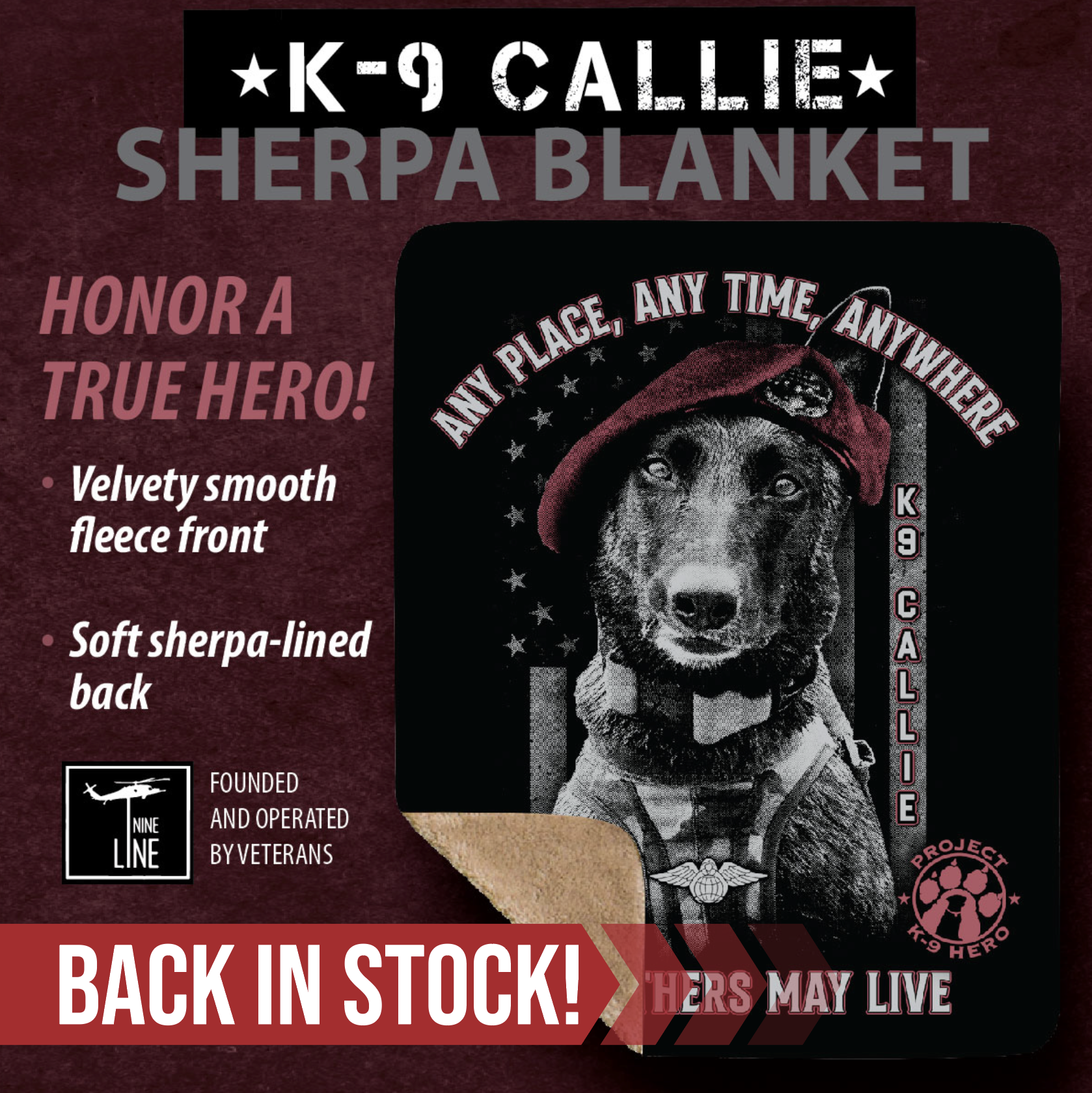 2024 annual report impact sheet details