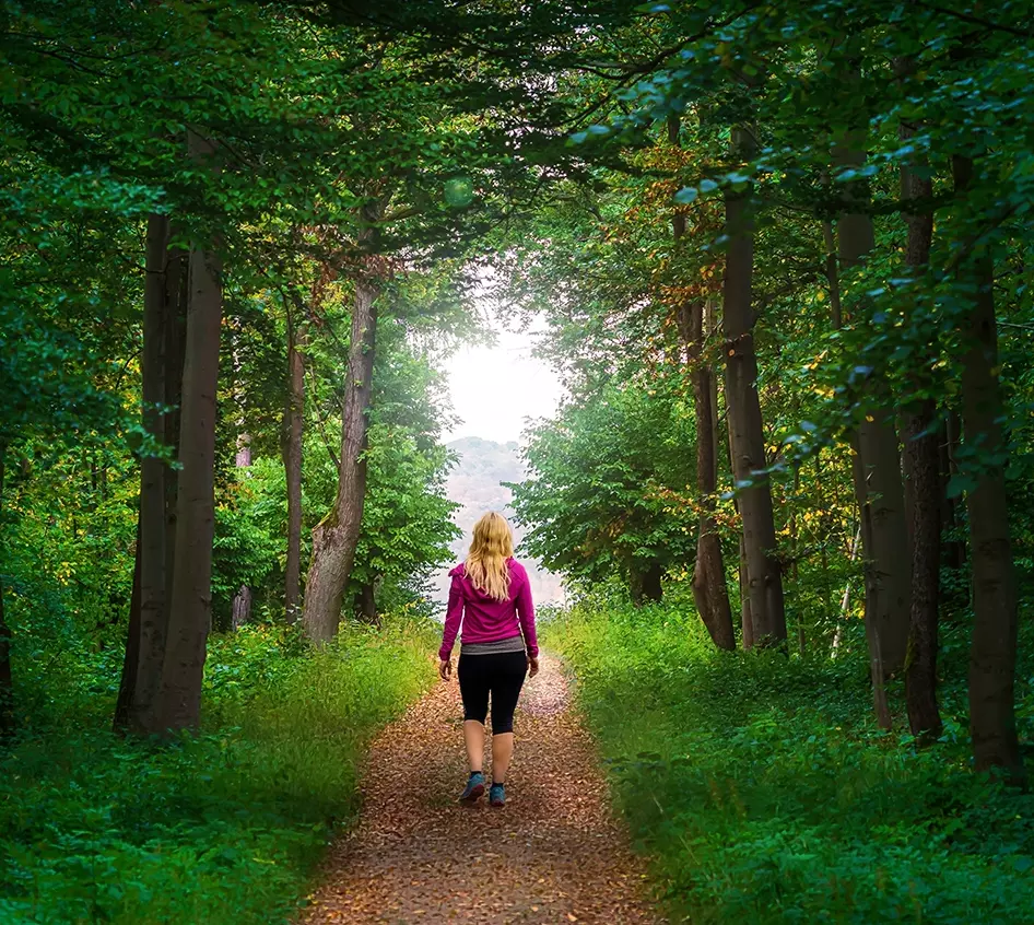 That’s where forest bathing comes in—a practice that invites you to slow down, immerse yourself in nature, and rediscover the healing effects of being in nature.