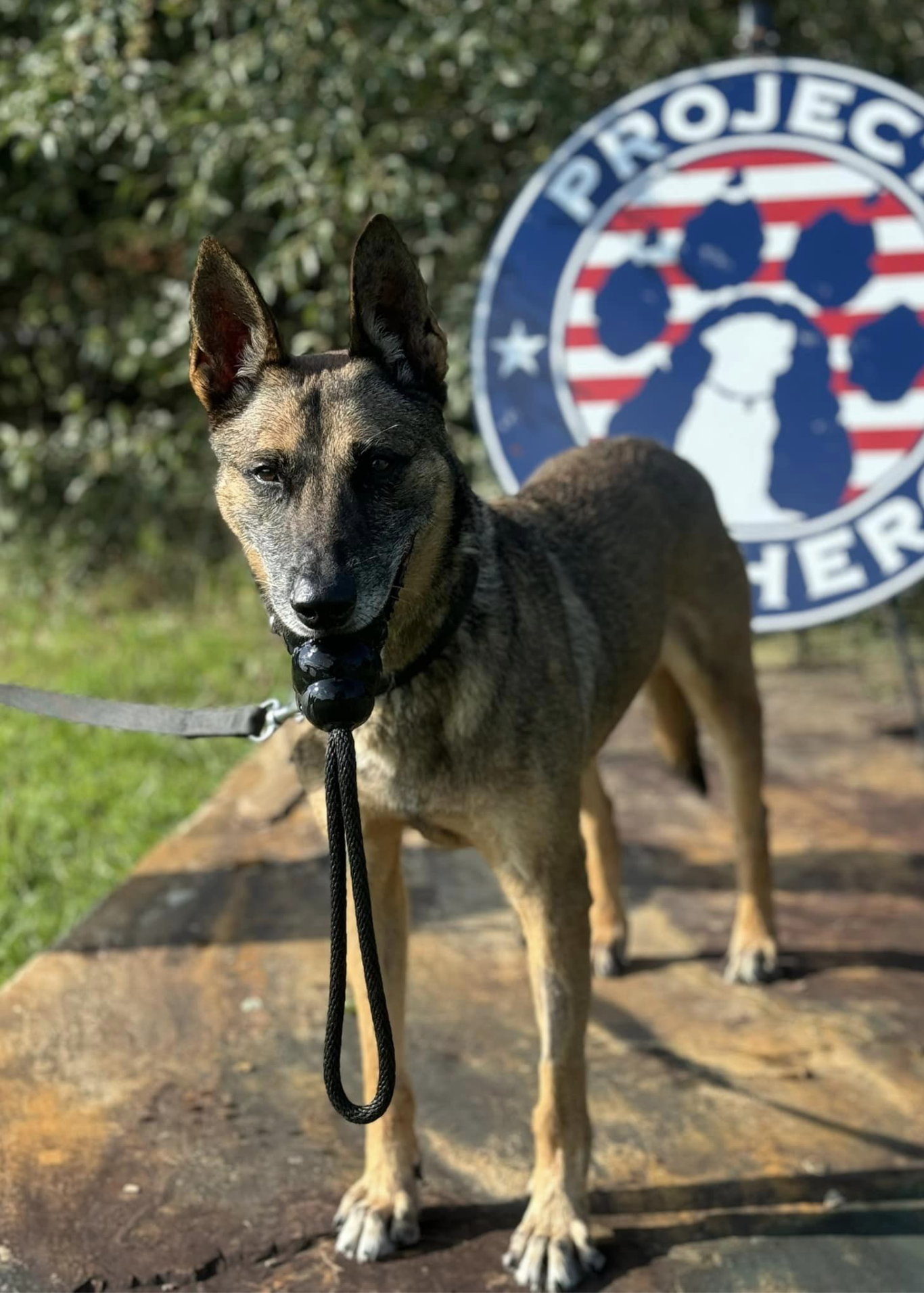 mwd bruno and pk9h sign