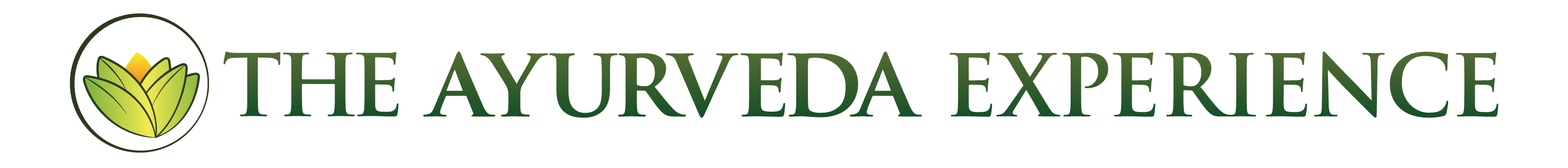 The Ayurveda Experience