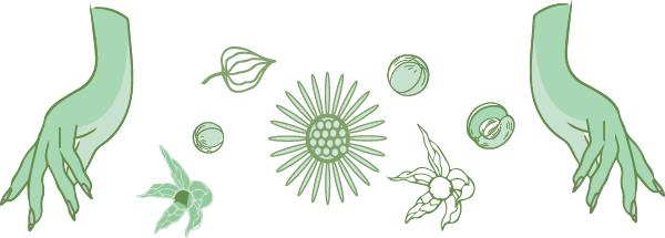 Top Ayurveda Illustration