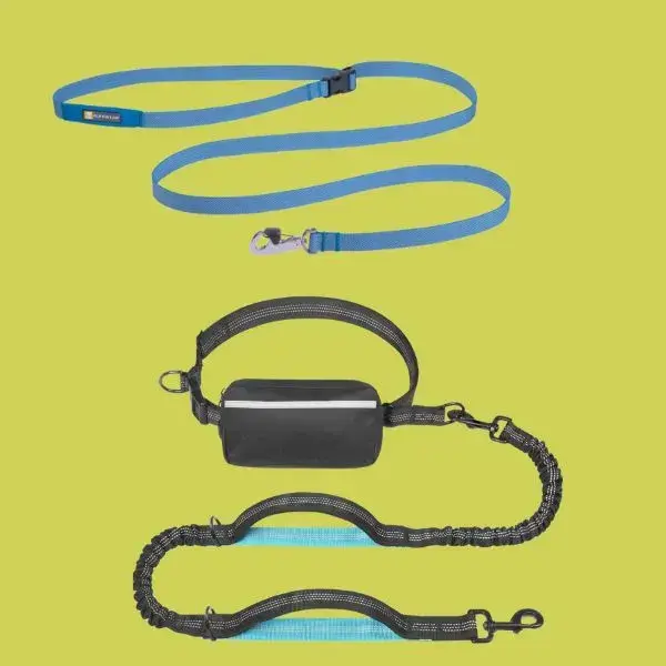 Hands-Free Leash