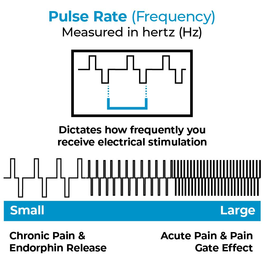 A diagram showing how pulse rate works