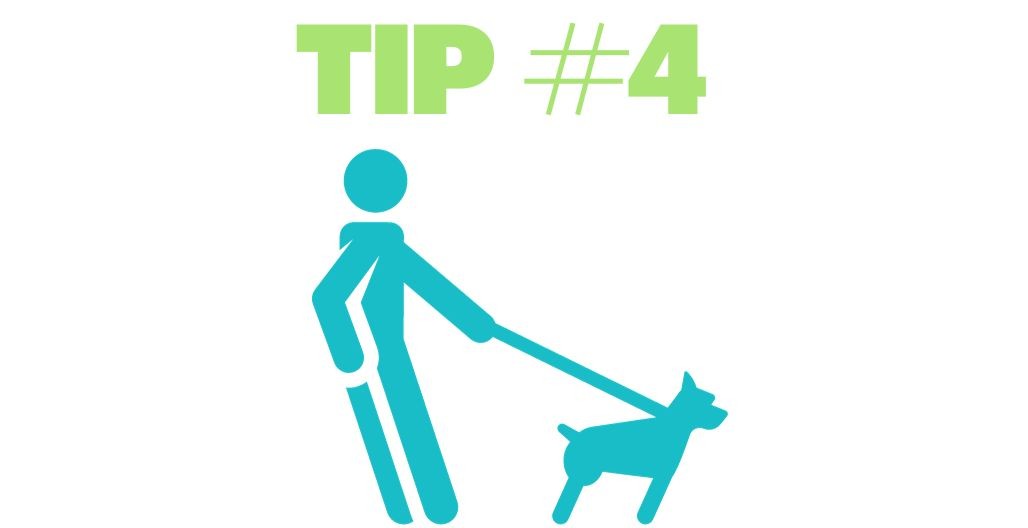 Tip 4: Stop if your dog pulls at any point