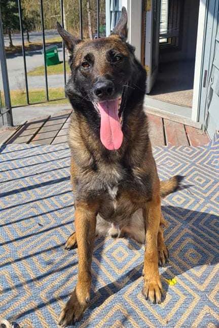 mwd teri