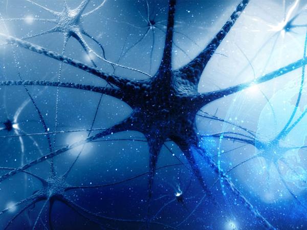 Neurons and synapses in the brain, representing neurotransmitter activity.
