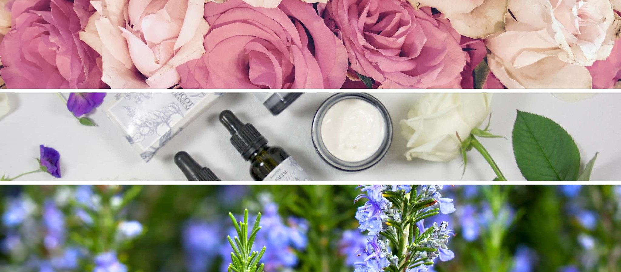 The Best Skin Care Ingredients |The Rose Tree