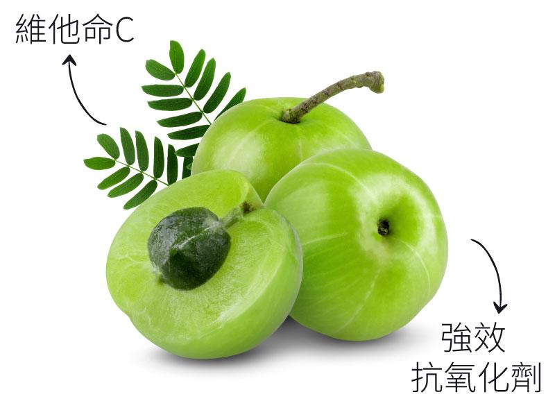 富含維他命C與強效抗氧化劑的印度餘甘子。