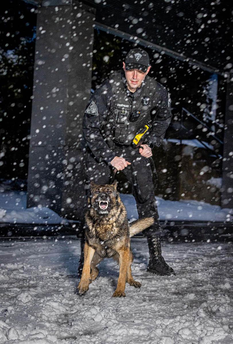 k9 odin 314