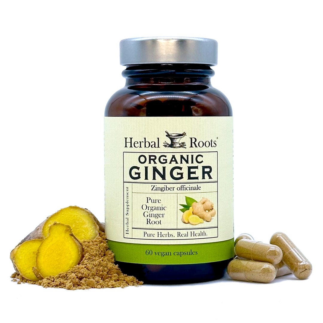 Bottle of Herbal Roots Organic Ginger with capsules on the right and ginger powder and fresh cut ginger on the left