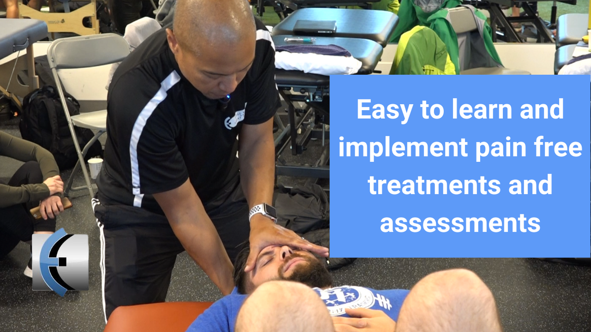Modern Manual Therapy: The Eclectic Approach to UQ and LQ Assessment a