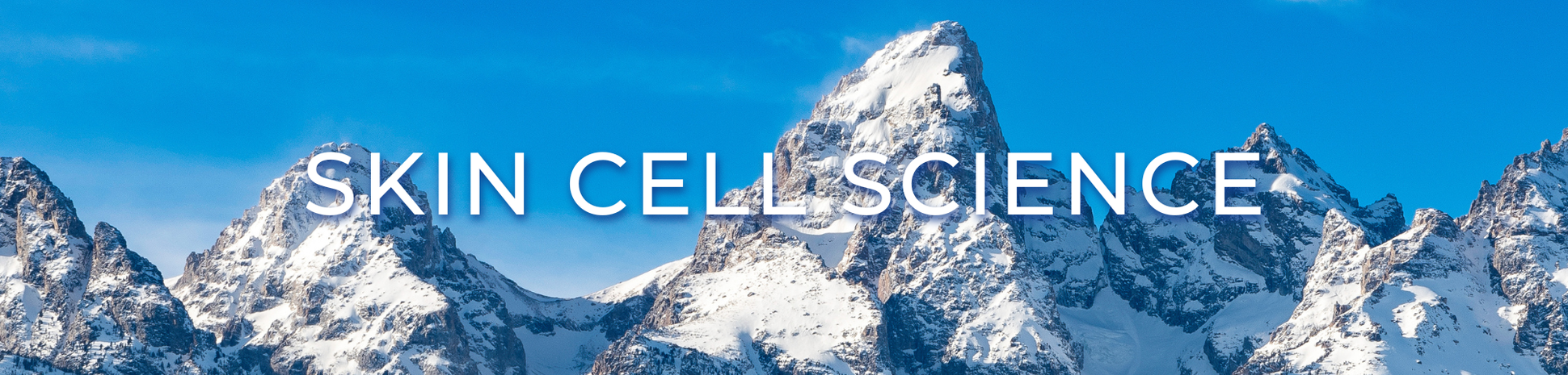 Skin Cell Science – Trilipiderm