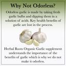 Heading "Why Not Odorless?" Description underneath says, "Odorless garlic is made by taking fresh garlic bulbs and dipping them in a solution of acids. Key health benefits of garlic are lost in the process. Herbal Roots Organic Garlic supplement understands the importance of the benefits of garlic which is why we do not make it odorless." Picture of 2 garlic bulbs.