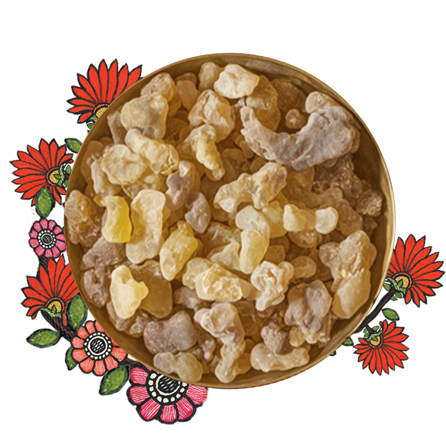 A bunch of brown colored frankincense kept over a white color background