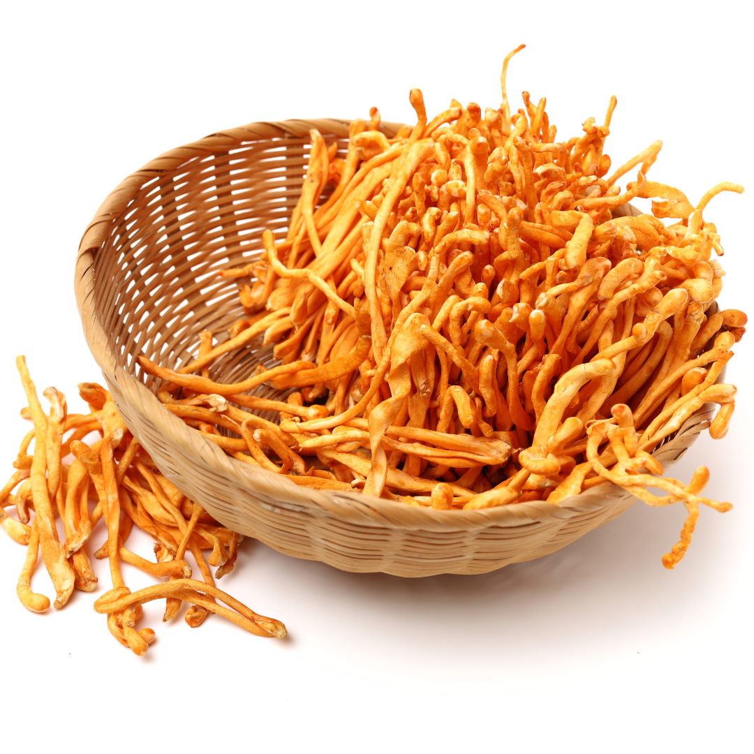 Large bunch of cordyceps mushrooms in a wicker basket