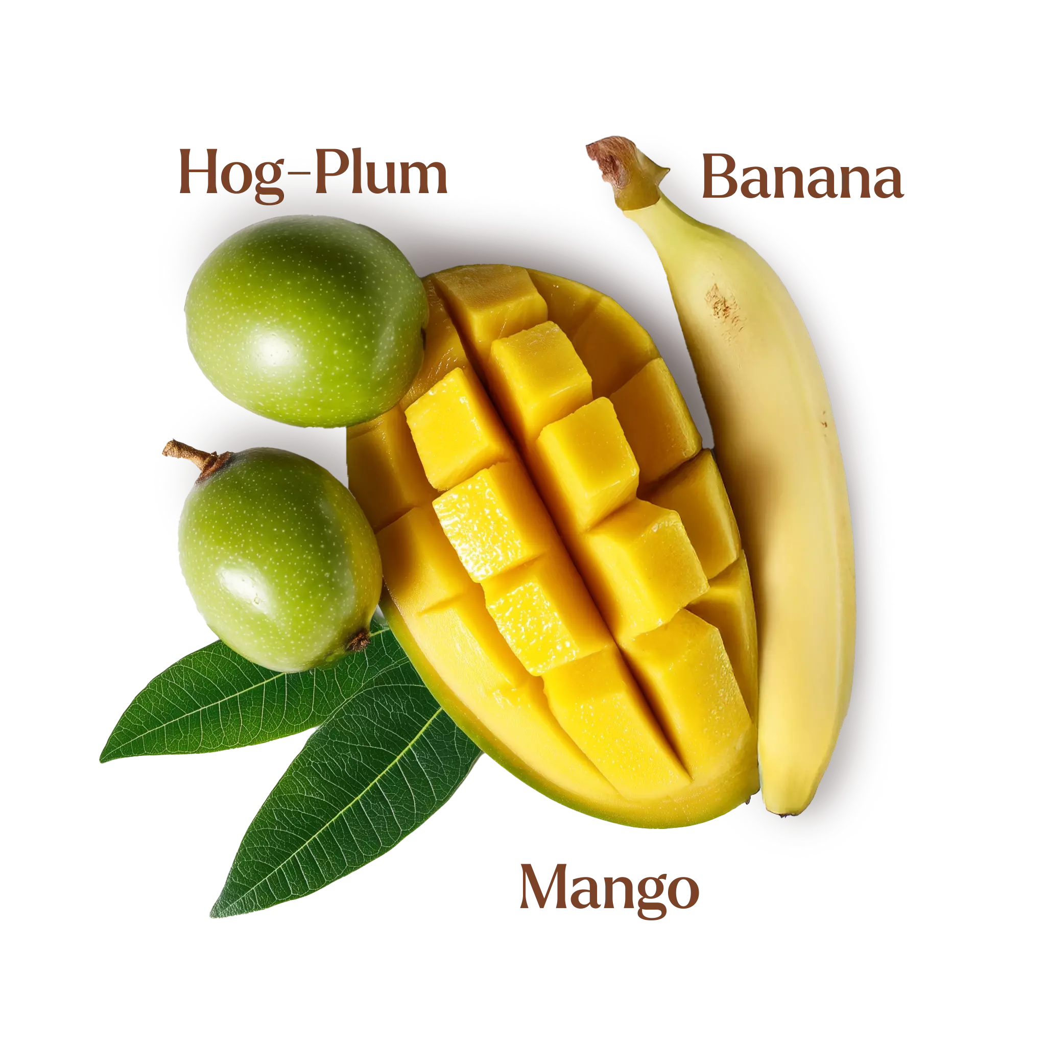 Sorbet Ingredients - Hog0Plum, Banana & Mango